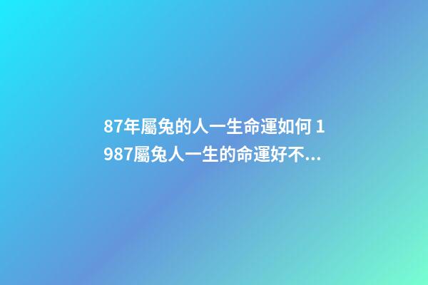 87年屬兔的人一生命運如何 1987屬兔人一生的命運好不好，1987年屬兔人的命運-第1張-觀點-玄機派